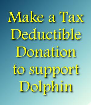 Tax Deductible Donations to Dolphin